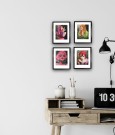  Marilyn Monroe thumbnail